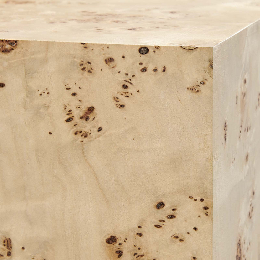 MODWAY Cosmos 36" Square Burl Wood Coffee Table