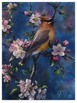 Jeff Tift 'Cedar Waxwing' Canvas Art, 32"x24"