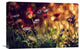 "Untitled" Stretched Canvas Giclee by Dimitar Lazarov, 22x15"