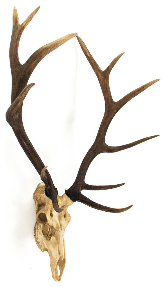 Faux Deer Skull Wall Decor