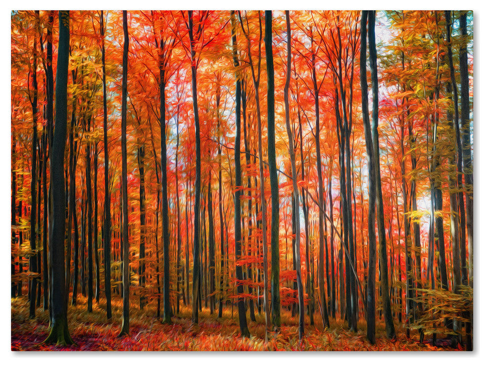 'Dominated' Canvas Art by Philippe Sainte-Laudy