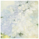"White Lilacs" Digital Paper Print by Julia Purinton, 38"x38"
