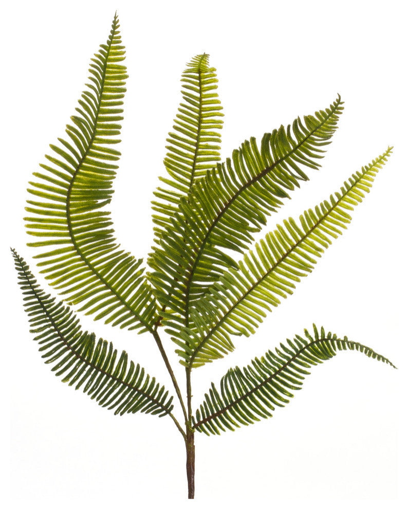 Fern Spray, Set of 6