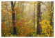 "Mixed deciduous forest in autumn, Mill Brook, Vermont" Paper Art, 50"x34"