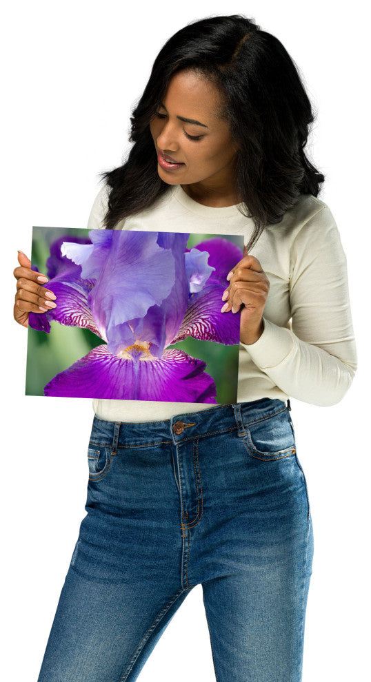Glowing Iris Nature Photography, Floral Unframed Wall Art Print, 8" X 10"