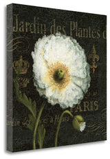 "Botanical Garden I" By Daphne Brissonnet, Giclee Print on Gallery Wrap Canvas