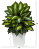 2' Golden Dieffenbachia Artificial Plant, White Metal Planter