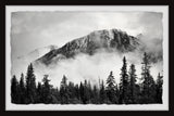 "Forest on Fog" Framed Painting Print, 18x12