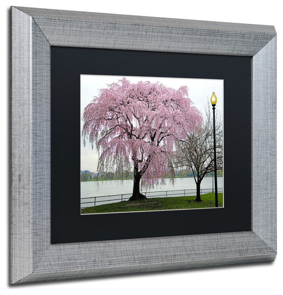 CATeyes 'Cherry Tree' Matted Framed Art, 11x14