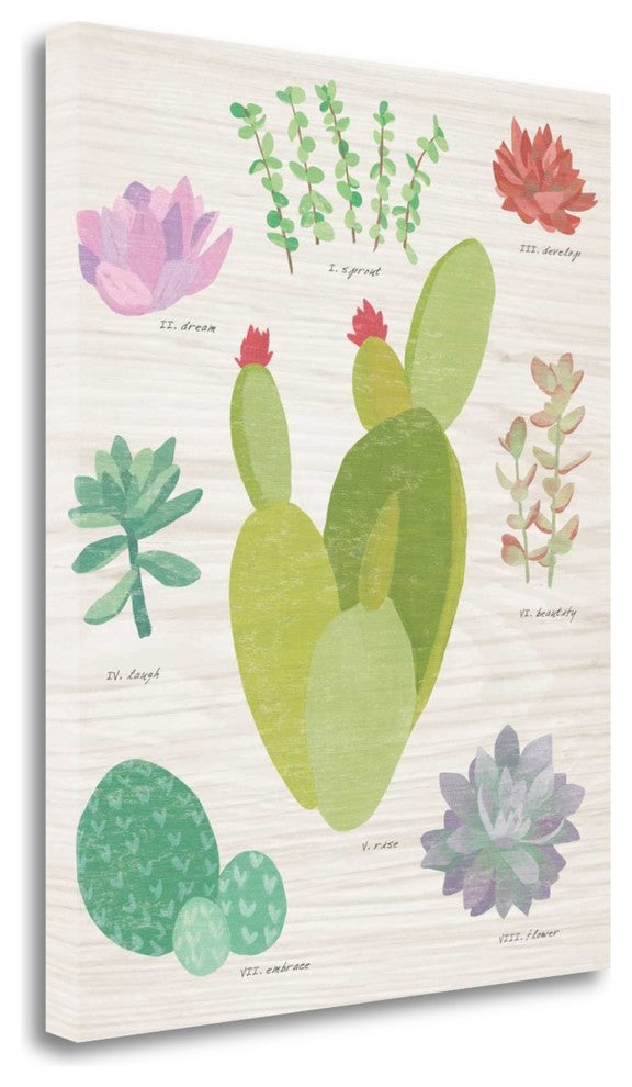 "Succulent Chart III On Wood" By Wild Apple Portfolio, Gallery Wrap Canvas