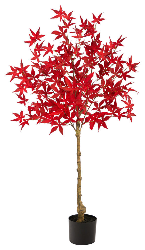 Full product visible on pure white background; front-facing; suitable as primary product.