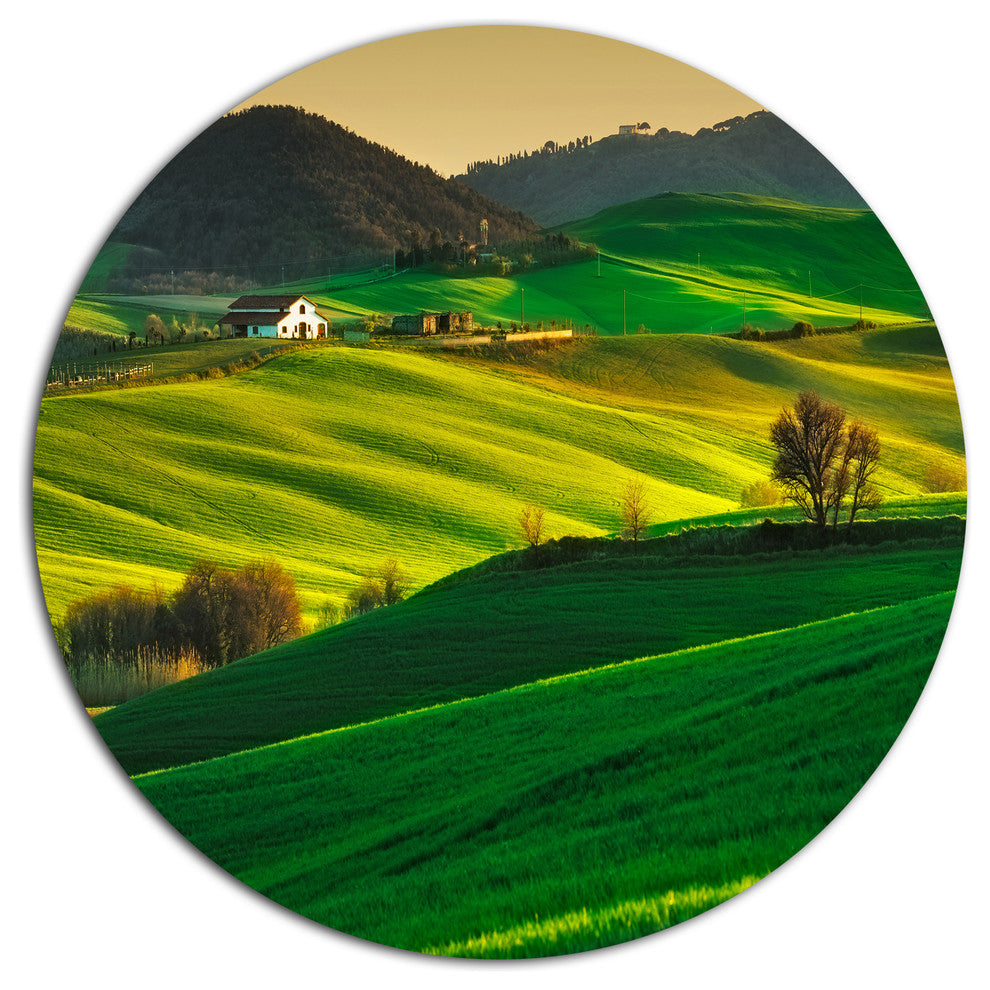 Trees And Farmland Near Volterra, Landscape Disc Metal Wall Art, 36"