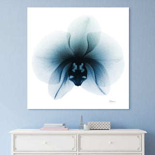 "Glacial Orchid" Frameless Free Floating Panel Graphic Wall Art, 38"x38"