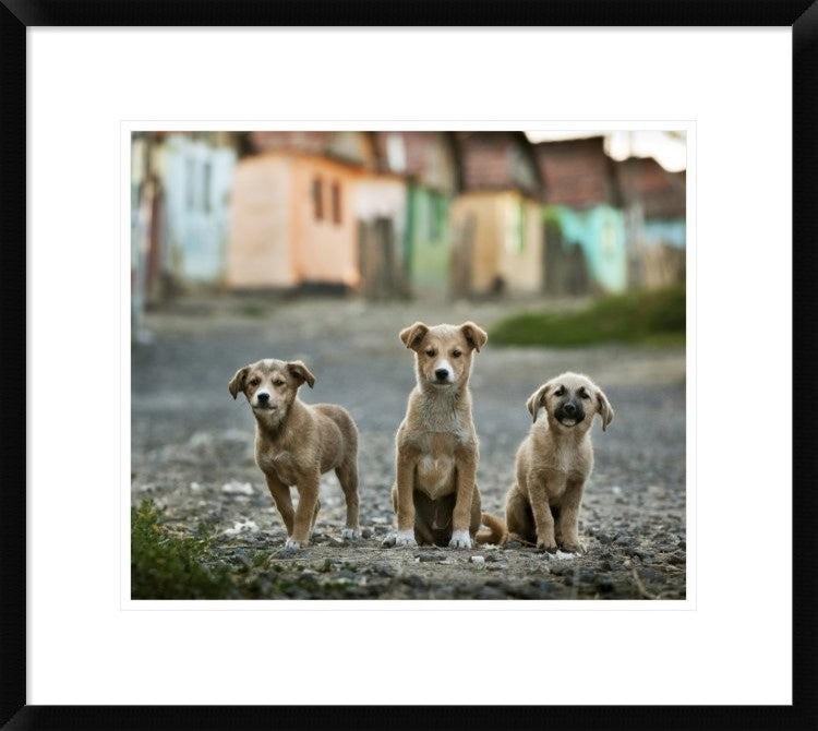 "The Three Musketeers" Framed Digital Print by Sorin Onisor, 24x21"