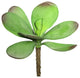 Vickerman Fe171201 6.5" Artificial Green And Red Kalanchoe Pick