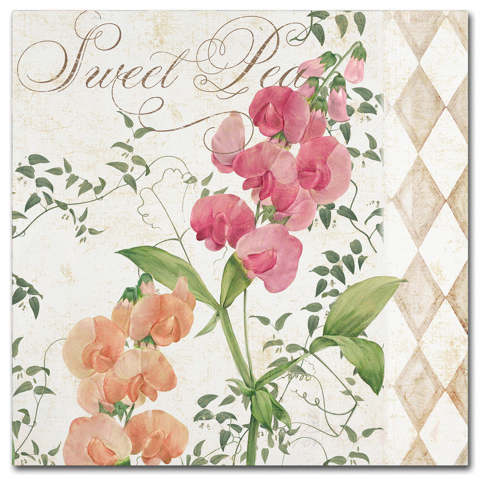 Color Bakery 'Sweet Pea' Canvas Art, 24"x24"