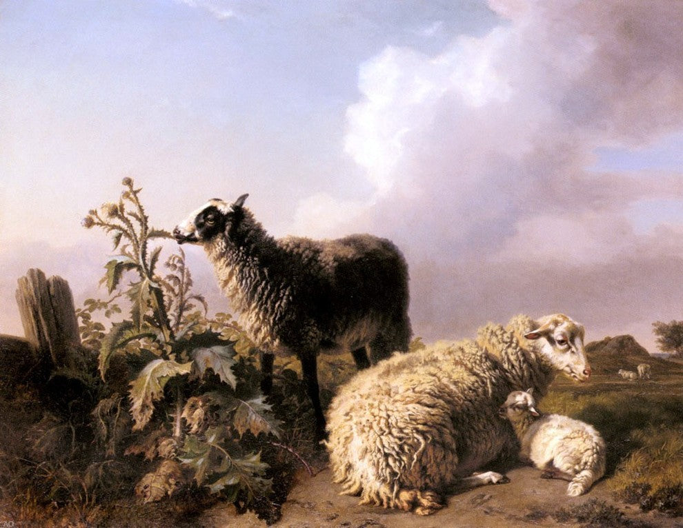Edmond Baptiste Tschaggeny Les Moutons, 21"x28" Wall Decal