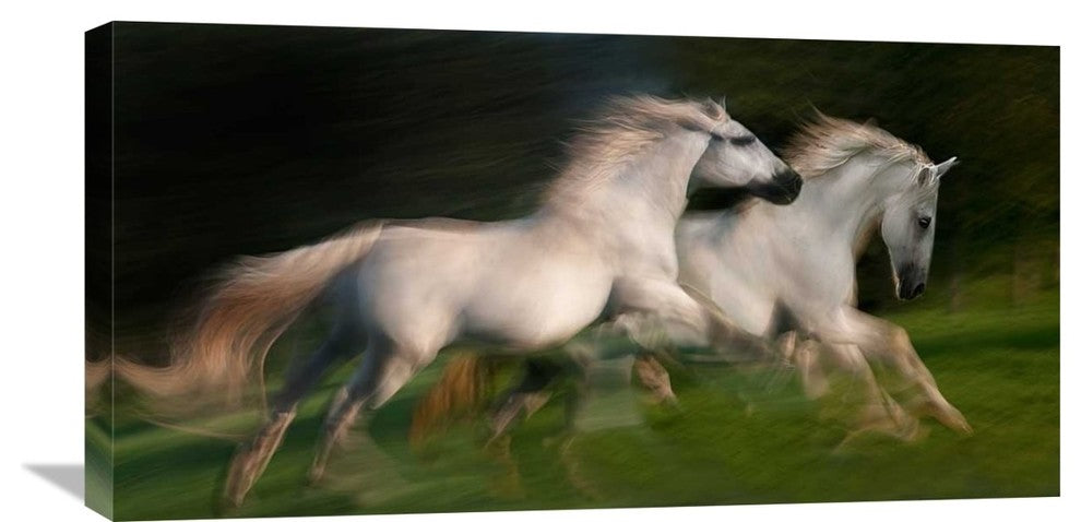"Gallop For Two" Stretched Canvas Giclee by Milan Malovrh, 30x16"