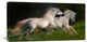 "Gallop For Two" Stretched Canvas Giclee by Milan Malovrh, 30x16"