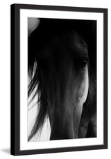 "Shadow Horse" Framed Painting Print, 12x18
