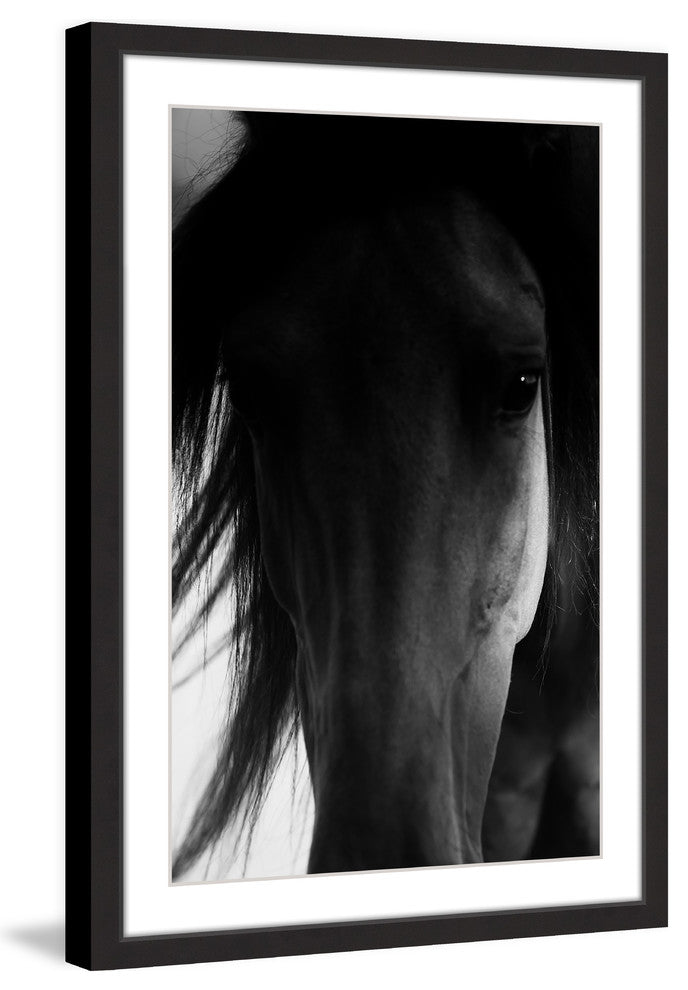 "Shadow Horse" Framed Painting Print, 12x18