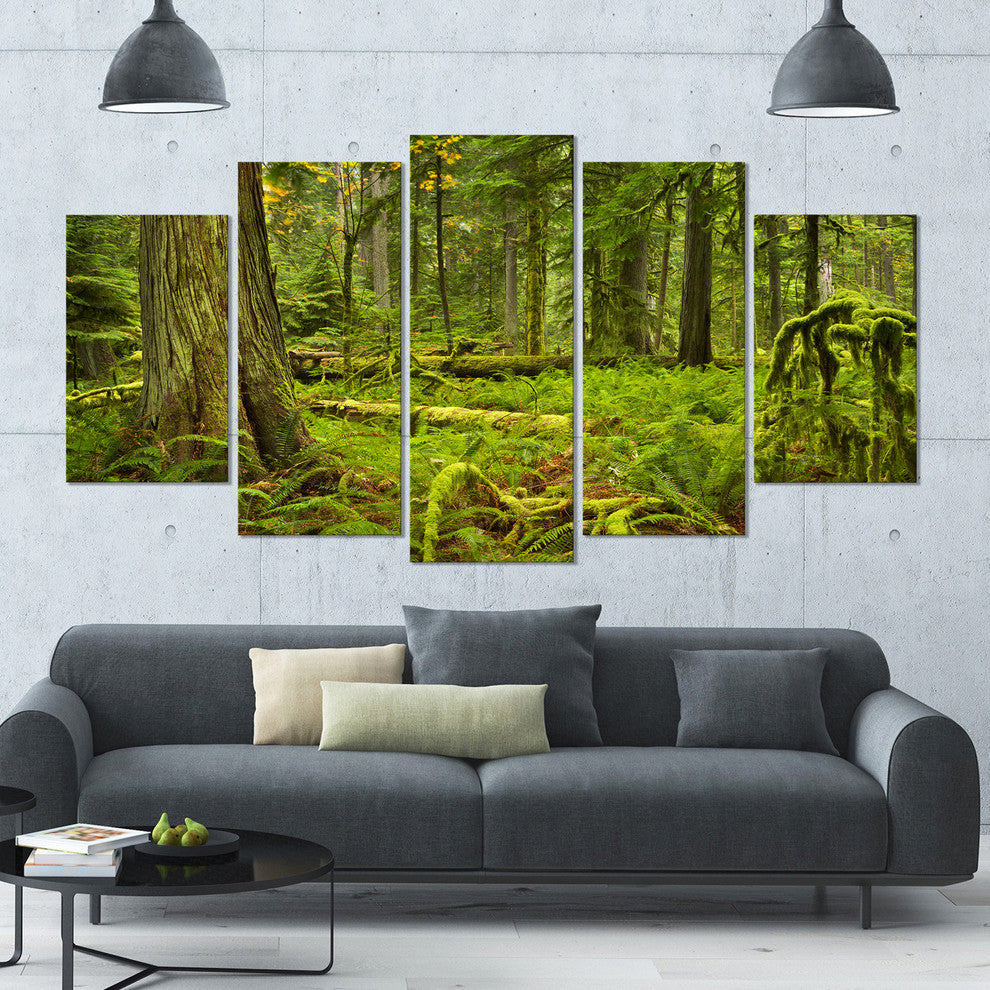 Lush Rainforest in Cathedral Grove, Landscape Canvas Print, 60"x32", 5 Panels