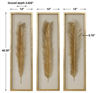 Palma Shadow Boxes, Set of 3