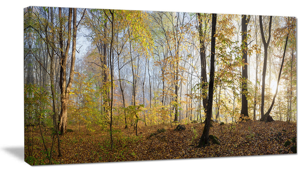 "Green Autumn Forest in Morning" Landscape Canvas Photo Print, 1 Panel, 60"x28"