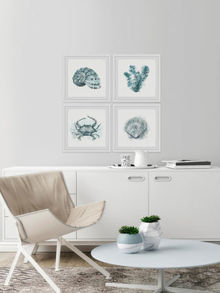 "Sea Life Quadriptych" Framed Painting Prints, 36"x36", 4-Piece Set