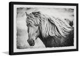 "Beautiful Mane" Framed Painting Print, 30"x20"