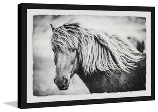 "Beautiful Mane" Framed Painting Print, 30"x20"