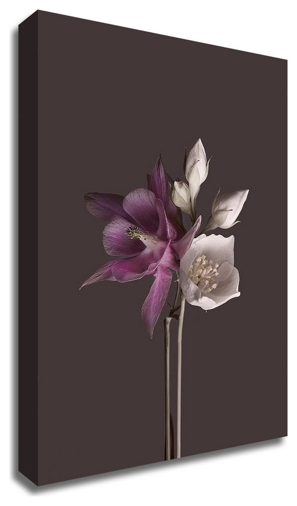 Virtue 2 by Design Fabrikken, Print on Canvas, 20"x28"
