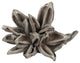 Vickerman H2Sta900 6" White Wash Star Pod, 1 Piece, Dried