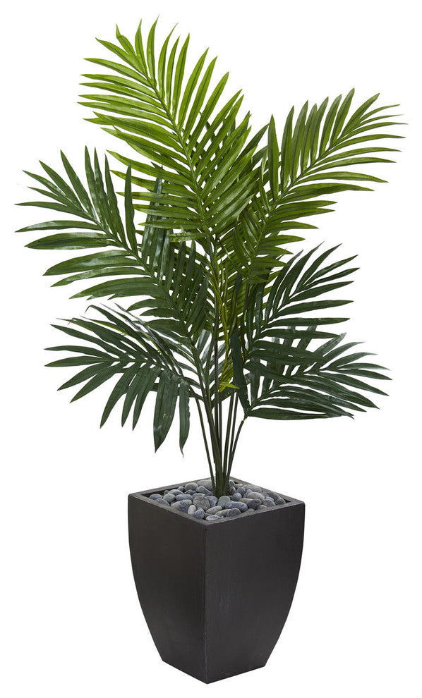 4.5' Kentia Palm Artificial Tree, Black Wash Planter