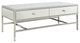 Modern Style Rectangular Metal and Mirror Coffee Table with 2 Drawers, Silver