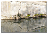 'Wall Mirror' Canvas Art by Kurt Shaffer