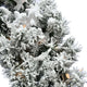 24-In. Mountain Pine Wreath, White Led