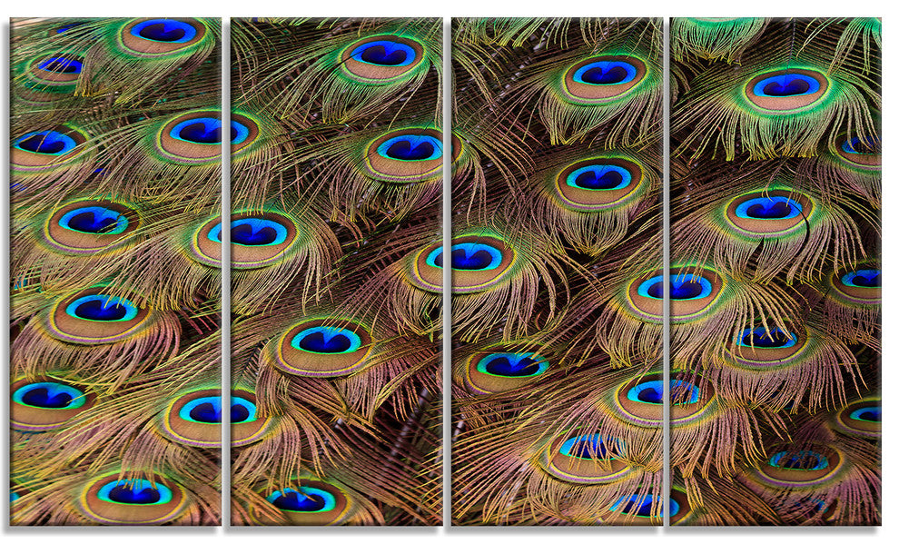 Peacock Bird Tail Feathers in Close Up, Animal Canvas Print, 48"x28", 4 Panels