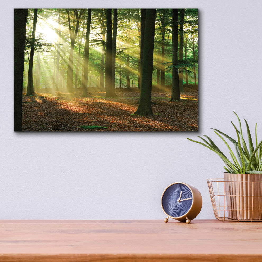 Epic Art 'Rays of Light,' Acrylic Glass Wall Art, 16"x12"
