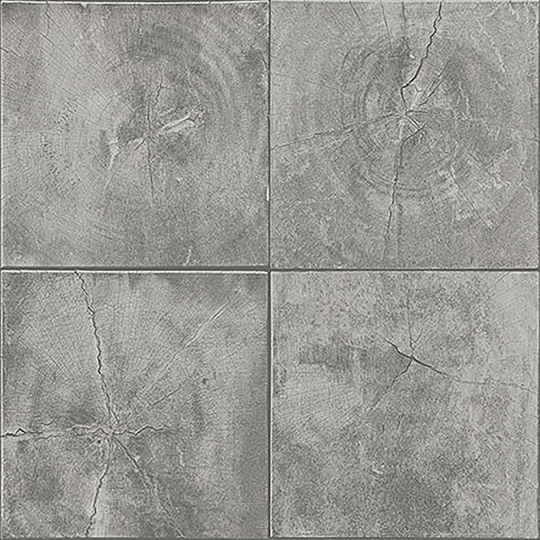 Daintree Grey Wood Wallpaper Bolt