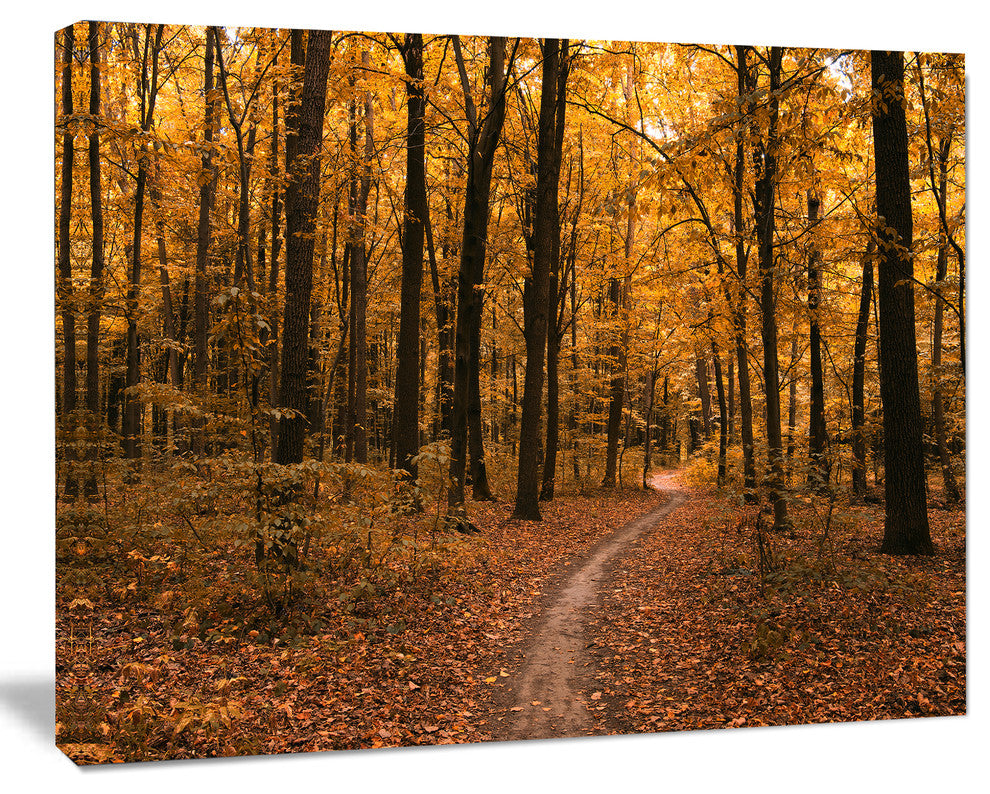 Path in the Yellow Fall Forest, Modern Forest Canvas Art, 20"x12"
