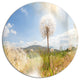 Blooming Dandelion Under Bright Sky, Floral Round Wall Art, 11"