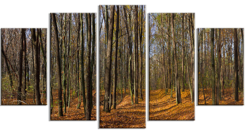 Dense Fall Forest Panorama, Forest Canvas Art Print, 60"x32", 5 Panels