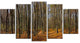 Dense Fall Forest Panorama, Forest Canvas Art Print, 60"x32", 5 Panels