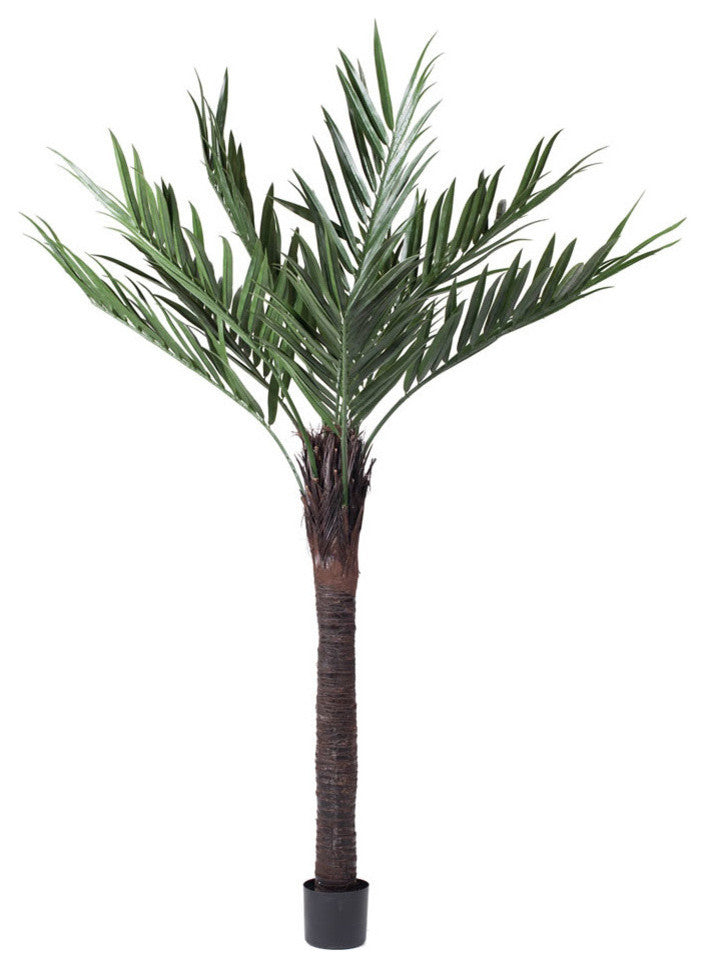 Vickerman T160572 72" Artificial Kentia Palm