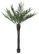 Vickerman T160572 72" Artificial Kentia Palm
