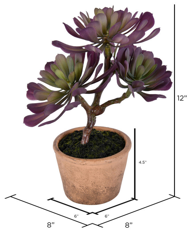 Vickerman FE192412 12" Artificial Purple and Green Succulent, Paper Pot.