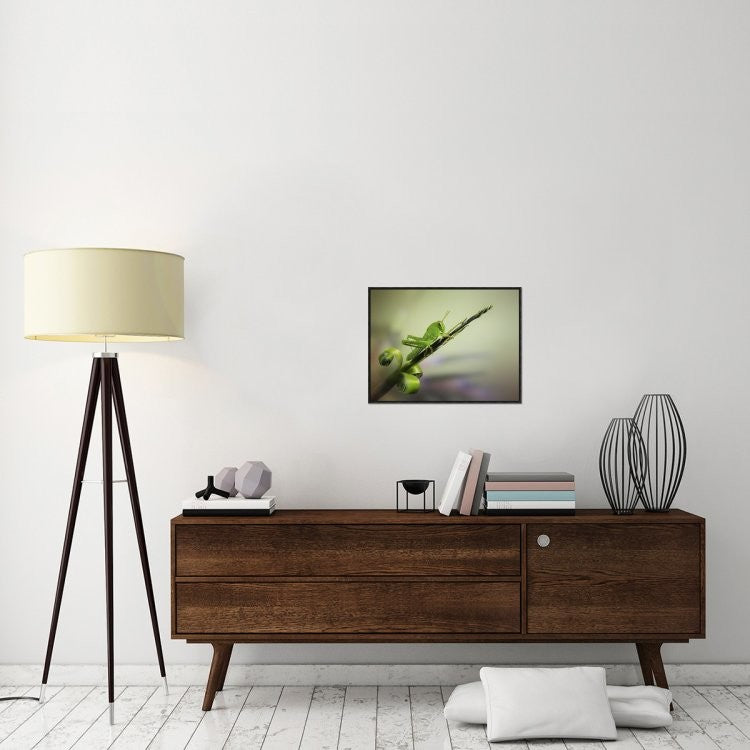 "Saltamontes" Framed Canvas Giclee by Jimmy Hoffman, 25x19"
