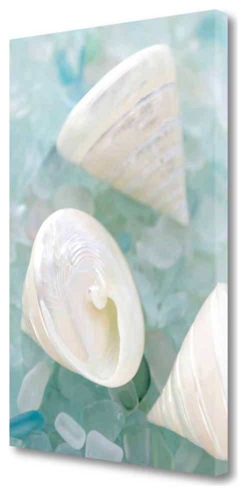 4" White Snail Shell and Blue Seaglass Giclee Wrap Canvas Wall Art