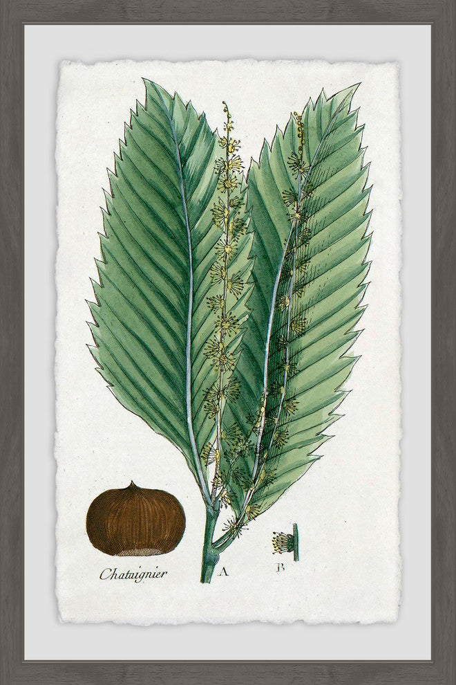 "Flore des Environs de Paris" Framed Painting Print, 16"x24"